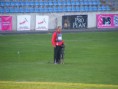 /album/fci-ipo-2012-vb-zalaegerszeg/fci2012zalaegerszeg-028-jpg/